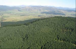 Matariki New Zealand